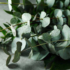 Eucalyptus & Rosemary Bath Salts