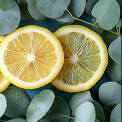 Eucalyptus & Lemon - Refreshing Soap with Aloe Vera