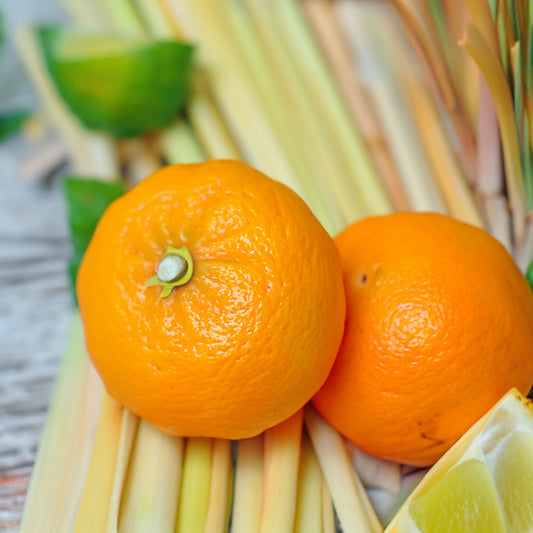 All In One Surface Cleaner - CITRUS - (300ml)