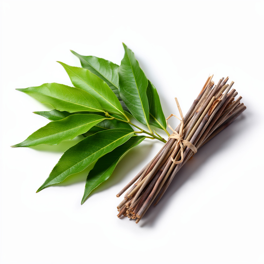 Sandalwood & Vetiver Moisturising Cream for Men