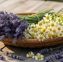 Baby Organic Body Wash & Shampoo