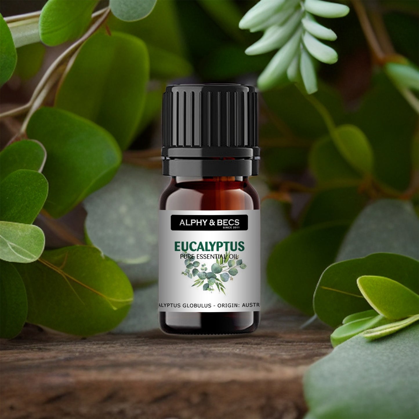 Eucalyptus Essential Oil - 10ml