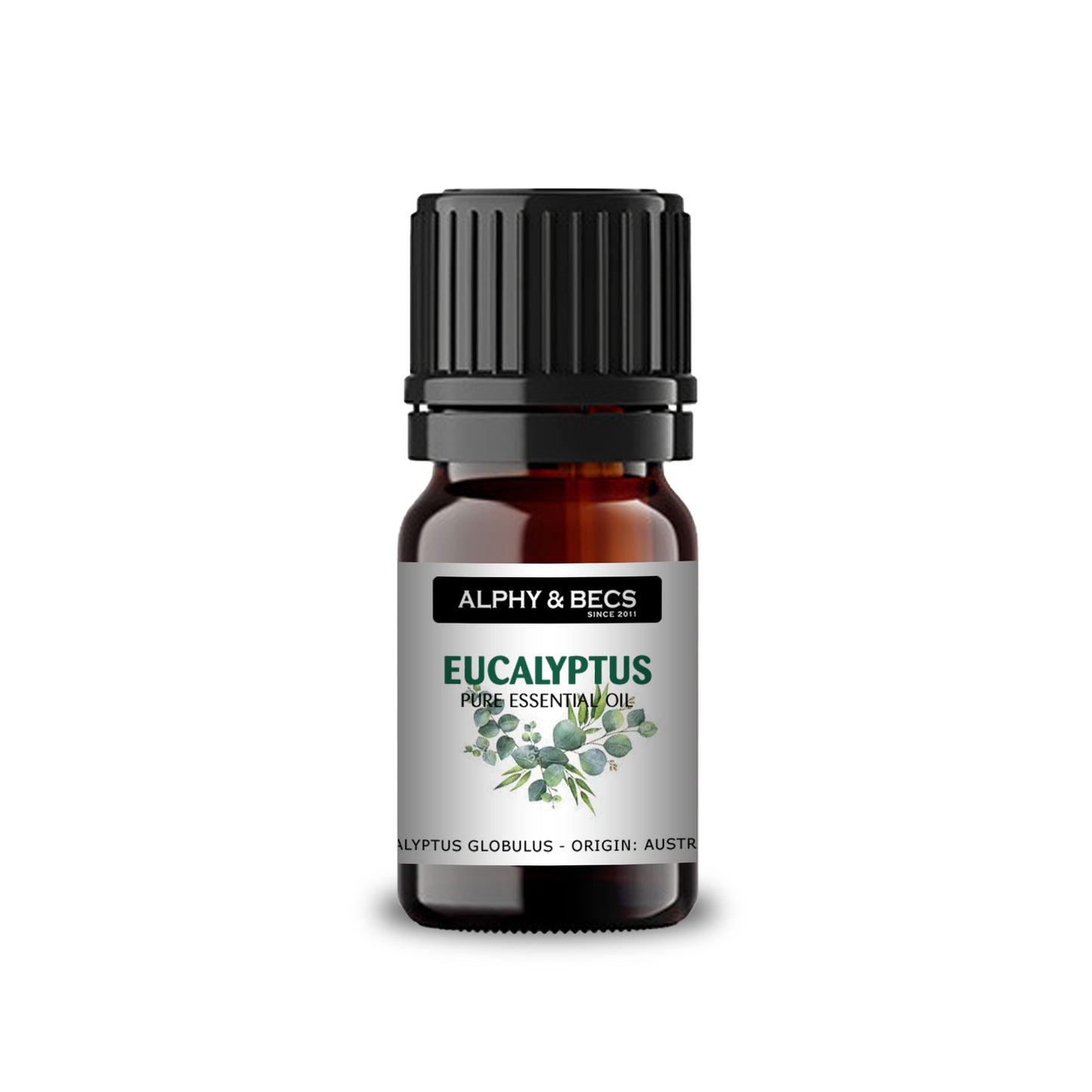 Eucalyptus Essential Oil - 10ml