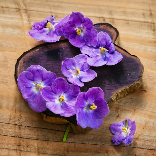 Natural Solid Perfume for Women - Parma Violet