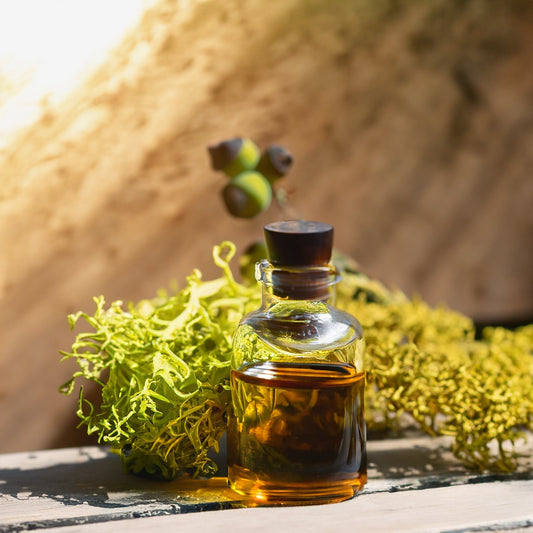 Oakmoss Oil Perfume