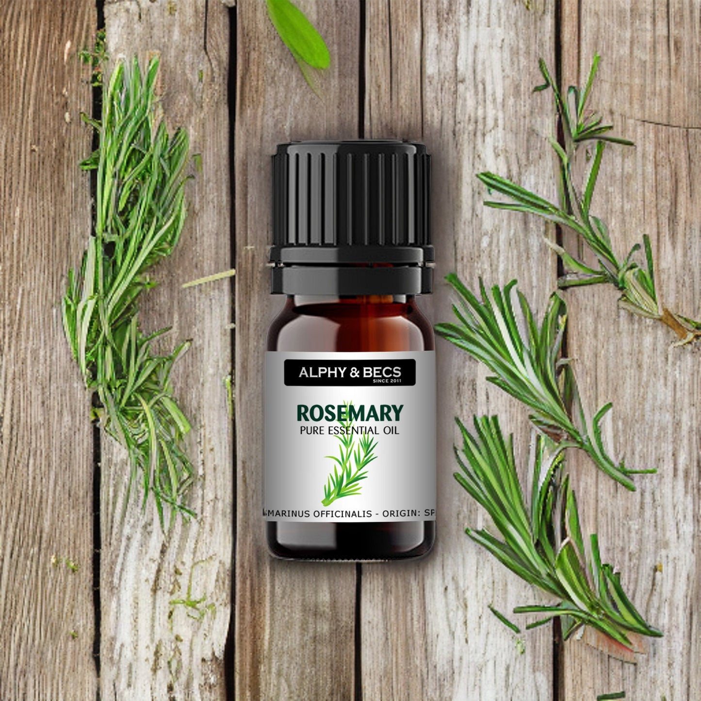 Rosemary Essential Oil - 10ml