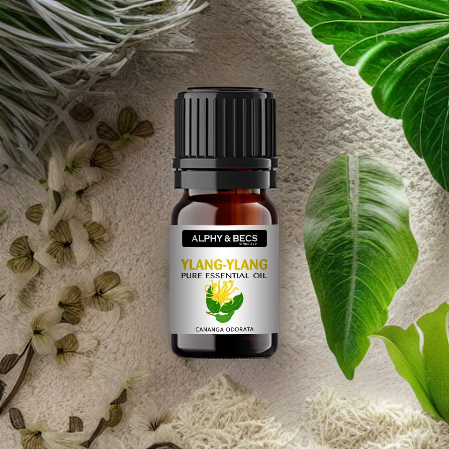 Ylang-Ylang Essential Oil - 10ml