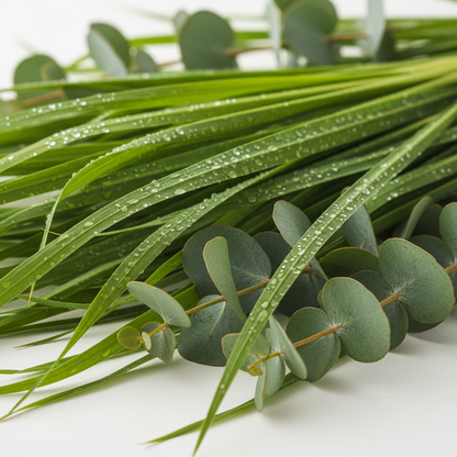 Citronella & Eucalyptus Soap Bar - 100gr.