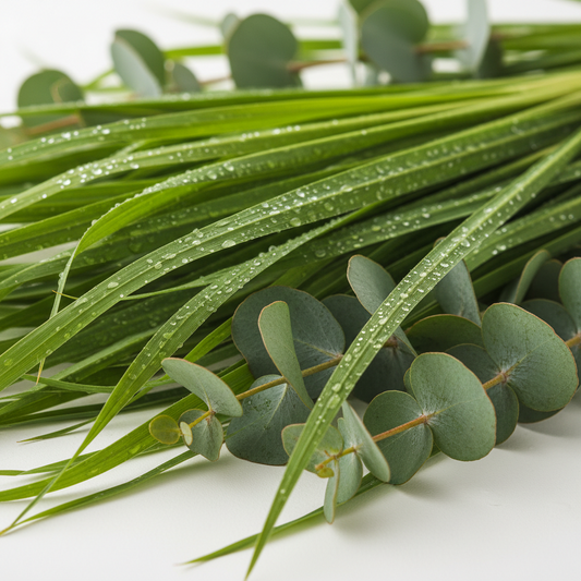 Citronella & Eucalyptus Soap Bar - 100gr.