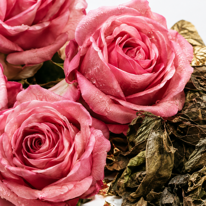 ROSE & PATCHOULI - LUXURY SCENTED BODY BUTTER